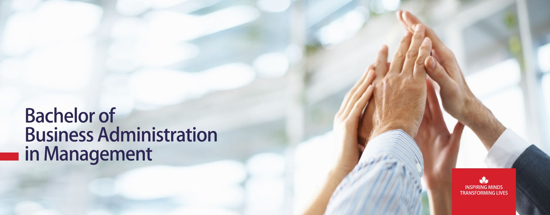 Bachelor of Business Administration in Management