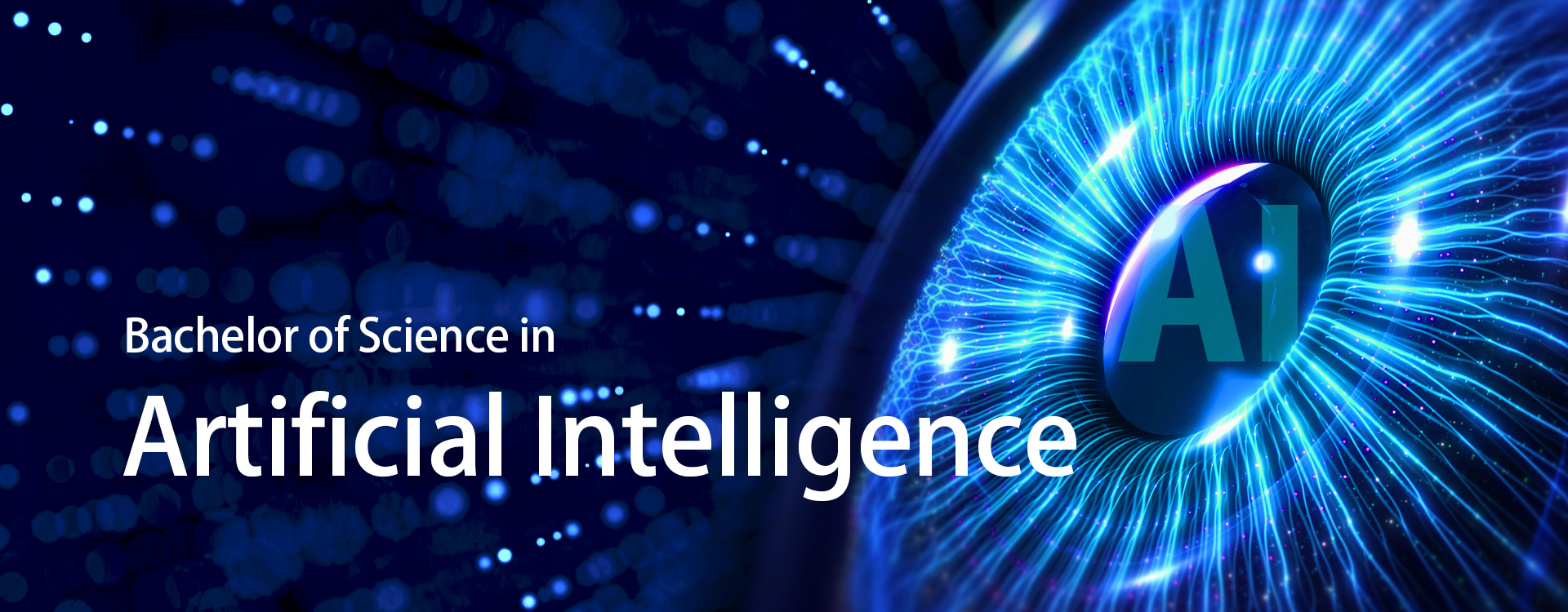 Bachelor of Science in Artificial Intelligence