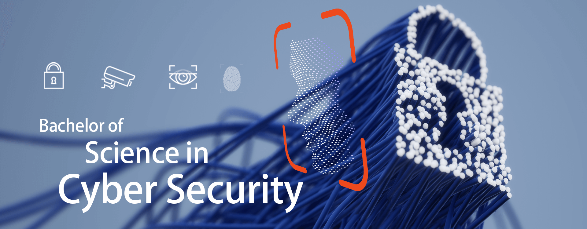 Bachelor of Science in Cyber Security